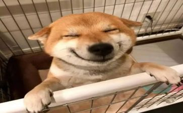 读书的快乐演讲稿7篇