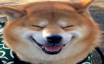 音乐教师个人写工作总结最新7篇