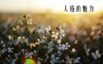 魅力作文600字5篇