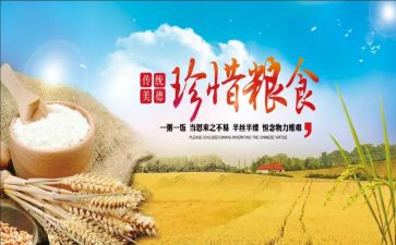 幼儿园粮食节活动总结6篇