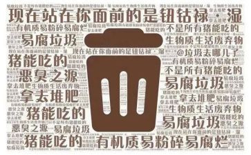 垃圾分类公益活动方案7篇