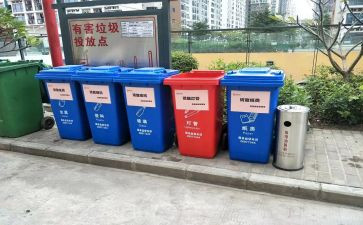 进社区捡垃圾心得体会6篇