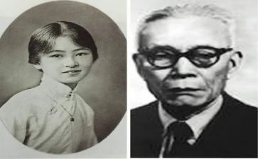 《林徽因传》读后感模板5篇