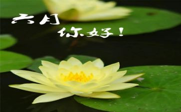 六月份幼儿园教育心得5篇