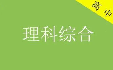 理综组工作总结8篇