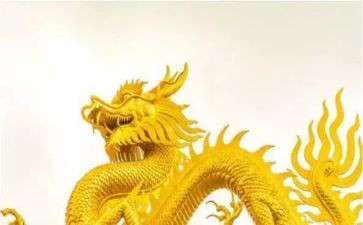 赛龙舟的作文300字5篇