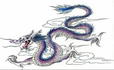 龙的孩子教育心得体会6篇