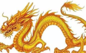 游龙门石窟作文精选8篇