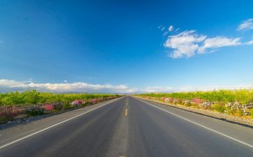 路域环境整治调研报告8篇
