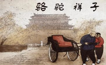 骆驼祥子300字读后感8篇