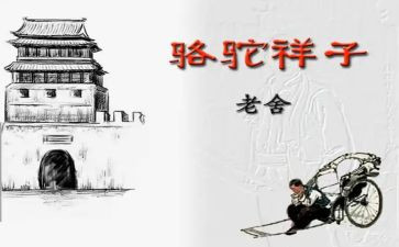 骆驼祥子300字读后感模板6篇