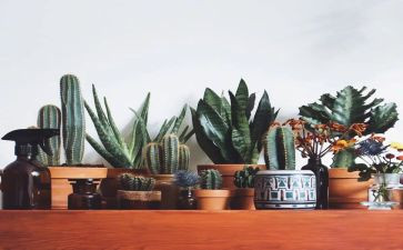 绿色节能演讲稿8篇