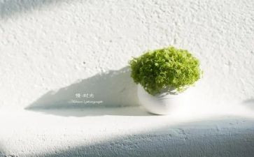 傲慢与偏见心得体会800字6篇