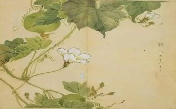 氓读后感1500字8篇