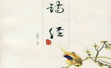 氓读后感400字8篇