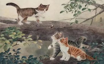 猫的观后感100字精选8篇