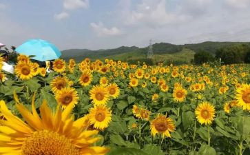 美德类作文模板8篇