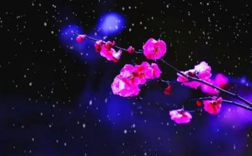 梅花优秀教案5篇