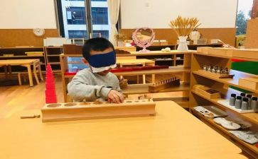 暑假蒙氏工作总结模板6篇