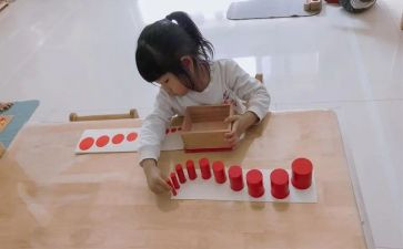 蒙氏培训感悟培训心得5篇