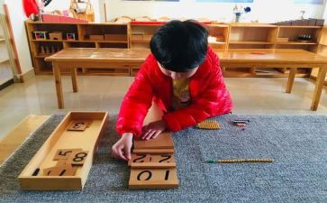 蒙氏教育工作计划精选5篇