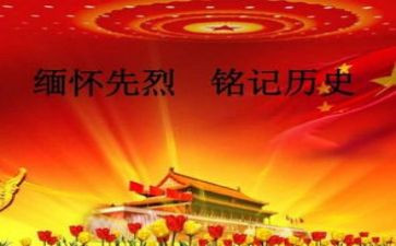 清明缅怀活动的总结6篇
