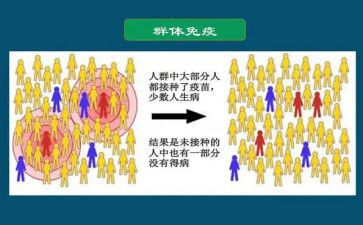 村卫生室免疫规划工作总结7篇