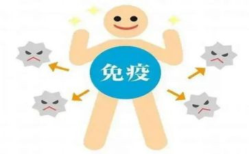 免疫规划年终总结8篇