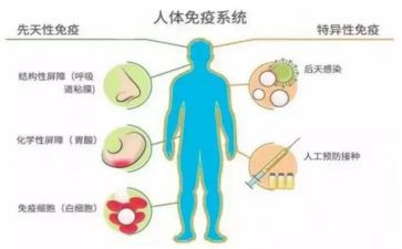 村卫生室免疫规划工作总结5篇
