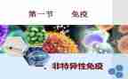 计划免疫的工作总结5篇