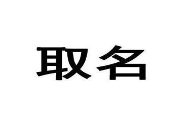 我名字的来历的作文最新8篇
