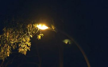 迷人的书教案优质8篇