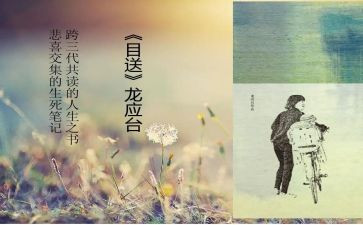 目送读书心得参考5篇