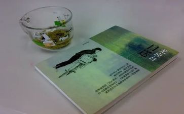 《目送》读书心得体会5篇