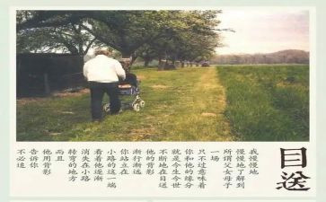 目送龙应台读后感5篇