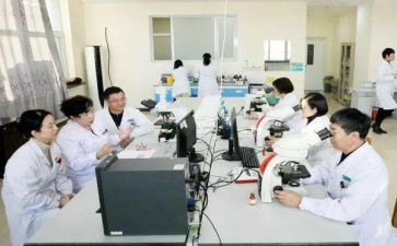 2024年心内科科主任工作总结8篇
