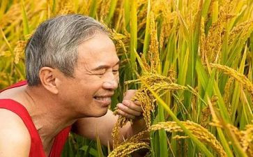 农夫与狗的读后感7篇
