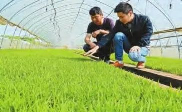 农技师培训心得6篇