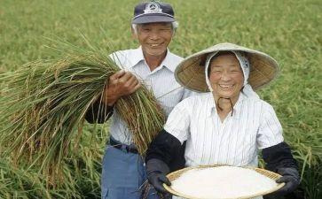 农民调查报告模板7篇