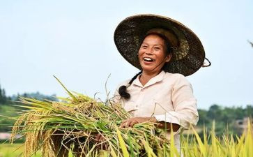 农民调研报告6篇