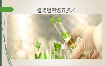 我培养演讲稿5篇