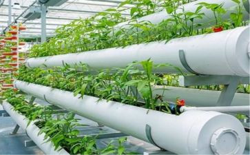 弘扬和培育民族精神活动方案6篇