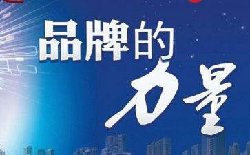 品牌工作个人总结5篇