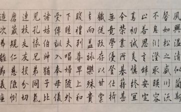 千字文心得体会推荐8篇