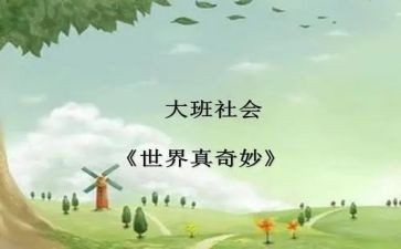 奇妙的数王国,读后感7篇