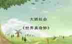 奇妙的数王国,读后感7篇