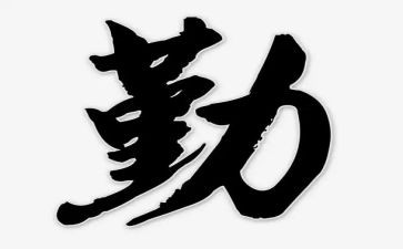 保险内勤年终个人工作总结5篇