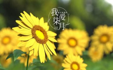 小班七月份工作计划8篇