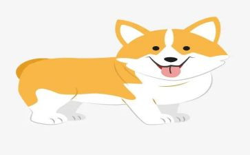 犬只管理调研报告7篇