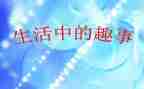 作文暑假趣事400字6篇